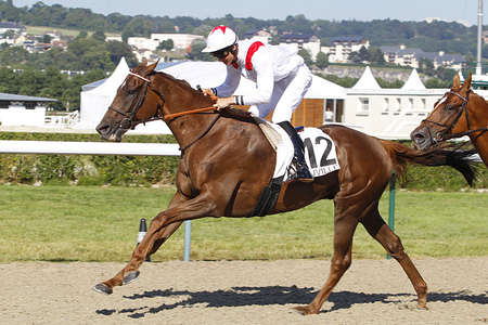 Actualités Hippiques